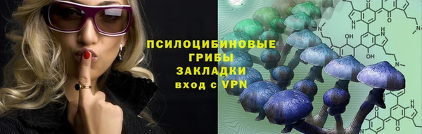 дмт Абинск