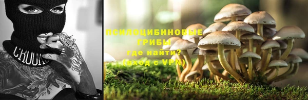 сатива Абаза
