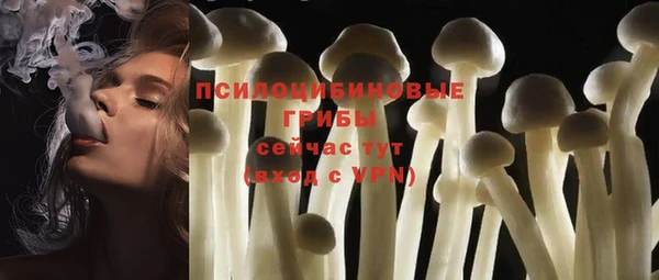 дмт Абинск