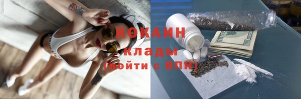 сатива Абаза