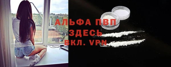 сатива Абаза
