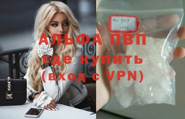 сатива Абаза