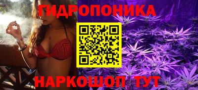 MESCALINE Гатчина