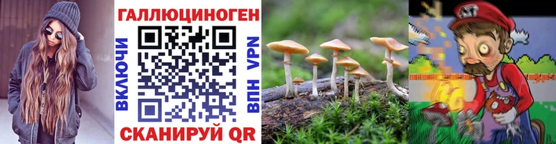 Галлюциногенные грибы Cubensis Костомукша