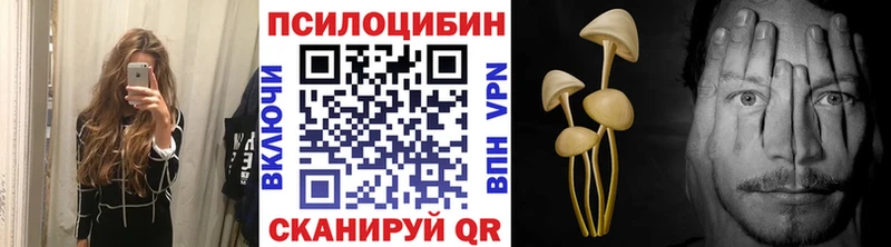 где найти наркотики  Костомукша  Галлюциногенные грибы ЛСД 